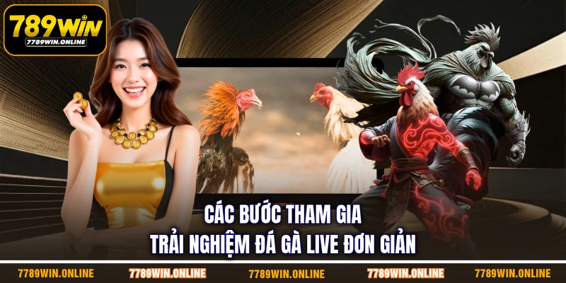 Các bước tham gia trải nghiệm đá gà live đơn giản Các bước tham gia trải nghiệm đá gà live đơn giản