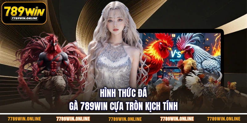 Hình thức đá gà 789WIN cựa tròn kịch tính