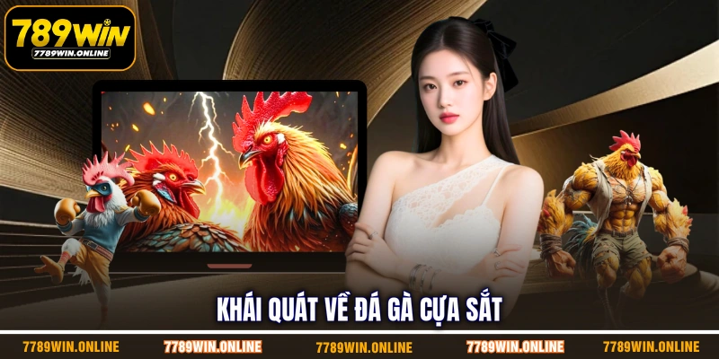 Khái quát về đá gà cựa sắt Khái quát về đá gà cựa sắt
