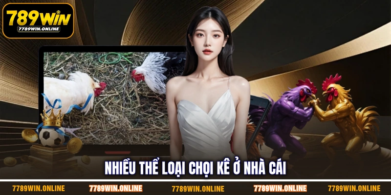 Nhiều thể loại chọi kê ở nhà cái