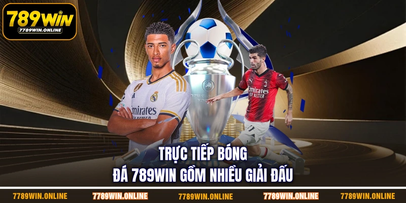 Trực tiếp bóng đá 789WIN gồm nhiều giải đấu